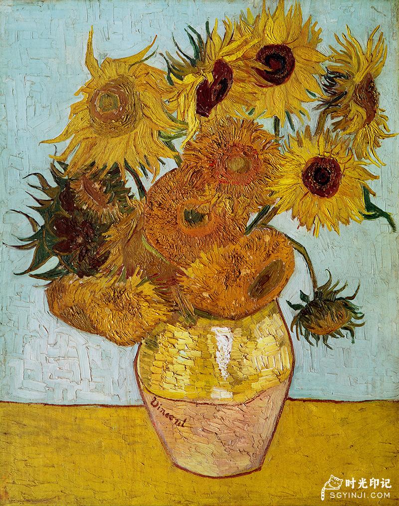 sunFlower.jpg
