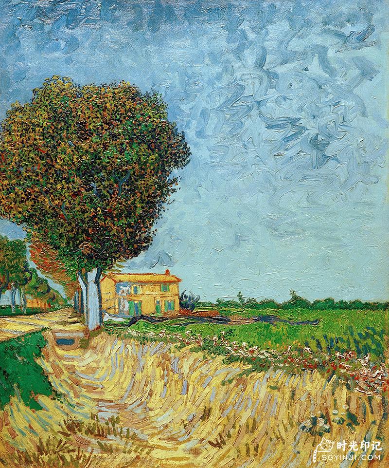 A-Lane-near-Arles.jpg