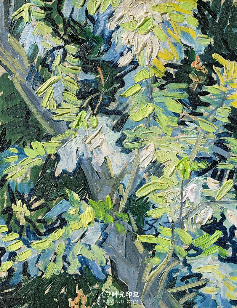 Blossoming-Acacia-Branches.jpg