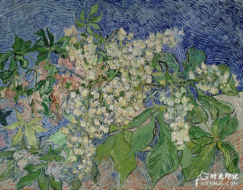 Blossoming-Chestnut-Branches.jpg