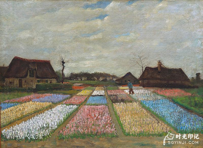 Flower-Beds-in-Holland.jpg