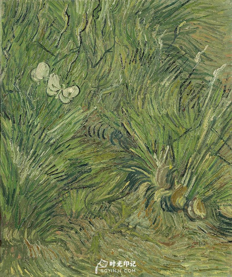 Garden-with-Butterflies.jpg