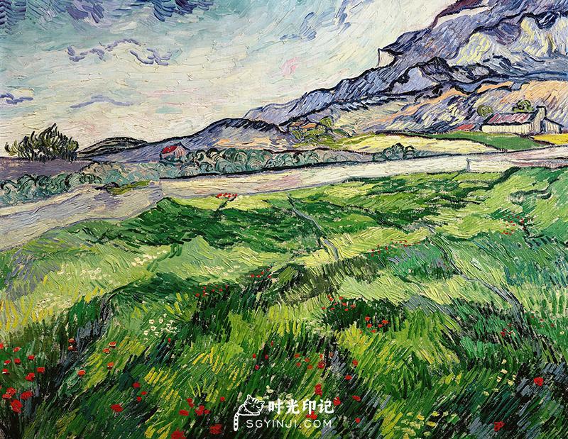 Green-Wheat-Field.jpg