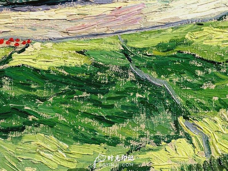 Green-Wheat-Field.jpg