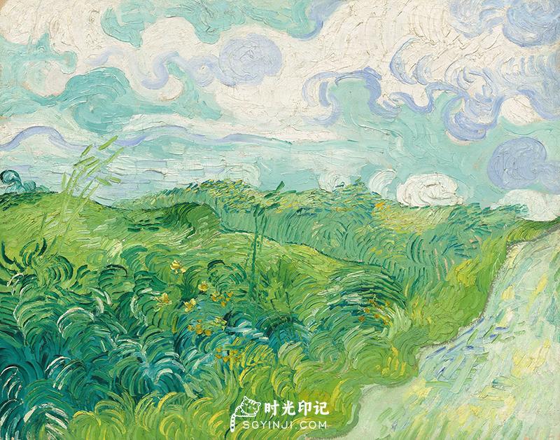 Green-Wheat-Fields.jpg