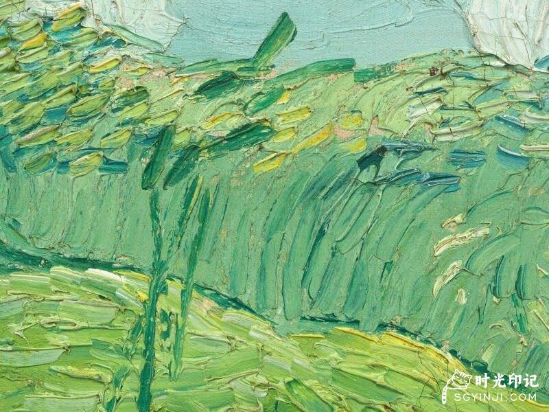 Green-Wheat-Fields.jpg