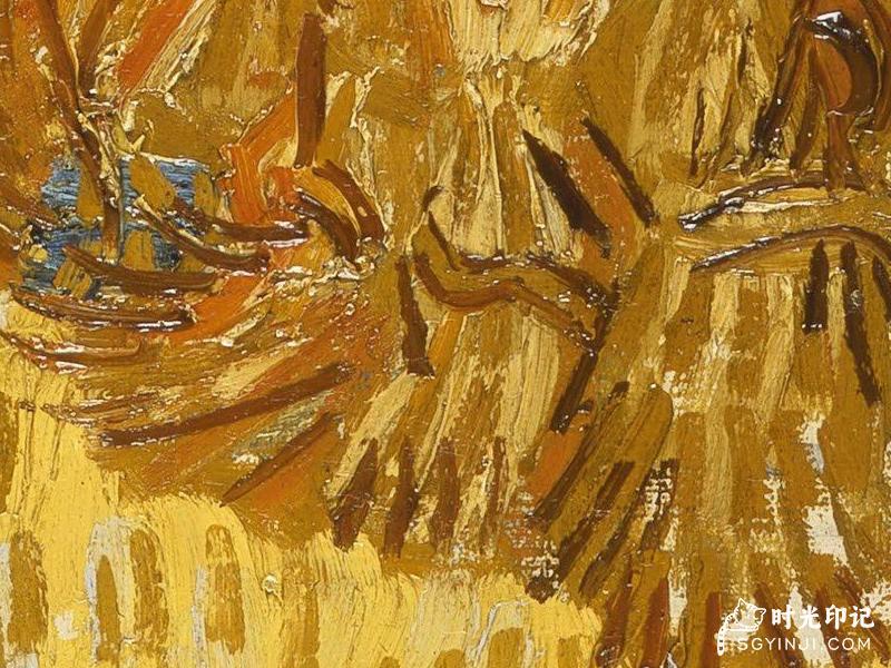 Harvest-in-Provence.jpg