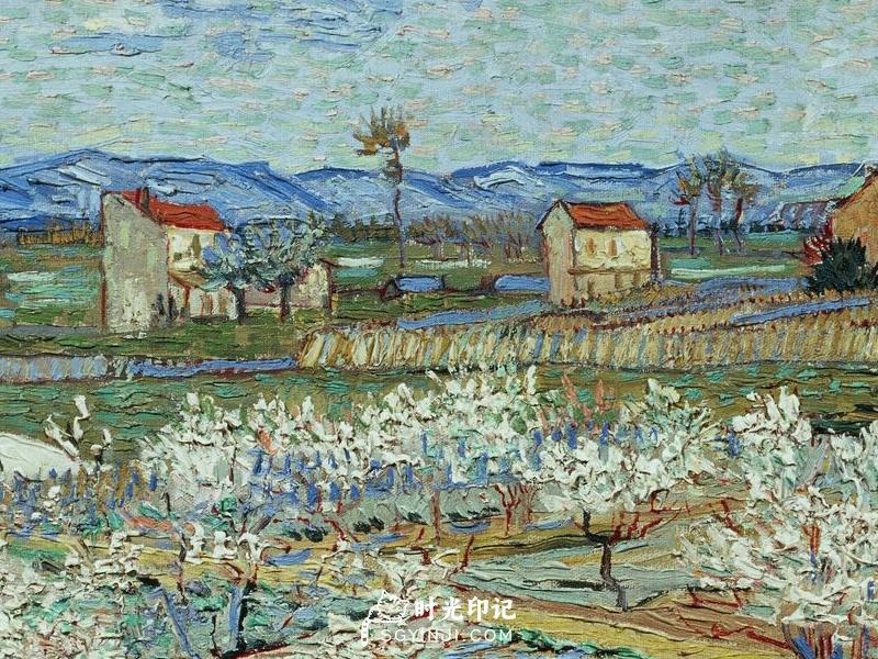 La-Crau-with-Peach-Trees-in-Bloom.jpg