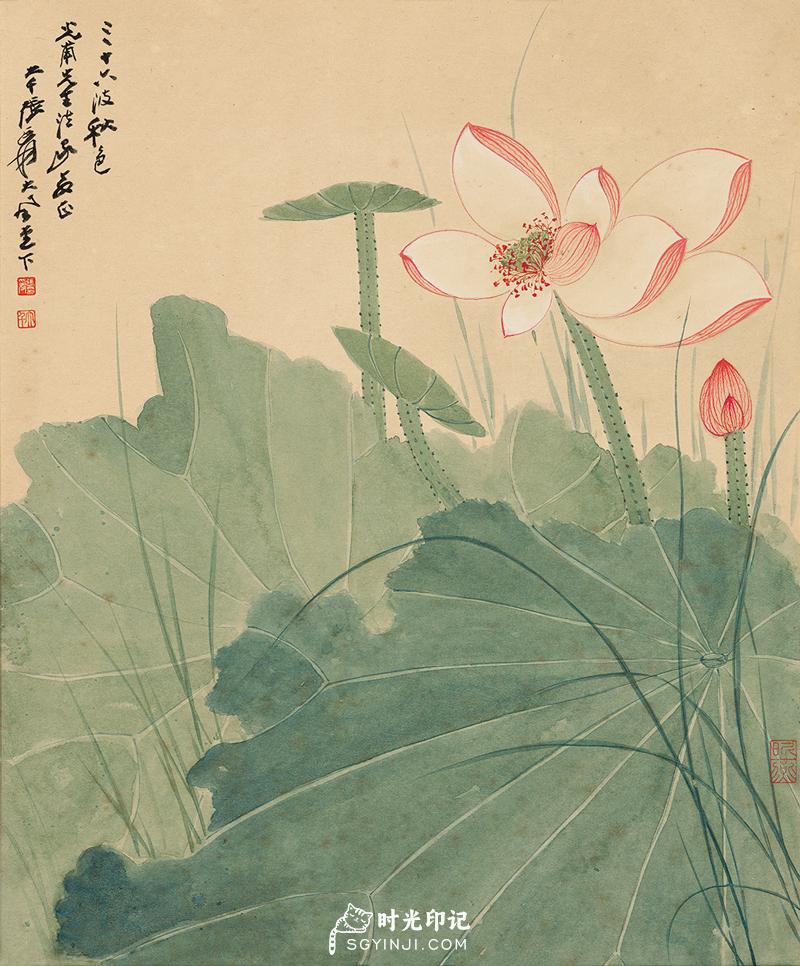 Zhang Daqian. 张大千《荷花》欣赏--- 张大千三十三岁时开始住进