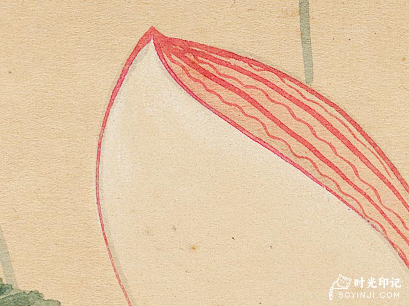 未标题-12.jpg