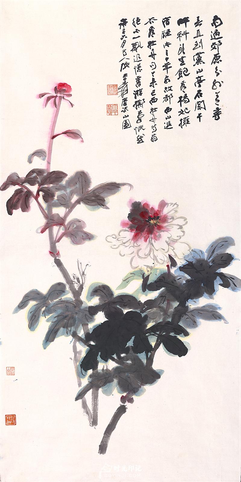 张大千-牡丹-672x1345.jpg