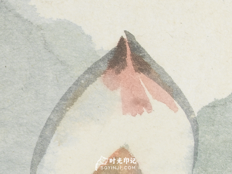 未标题-13.png