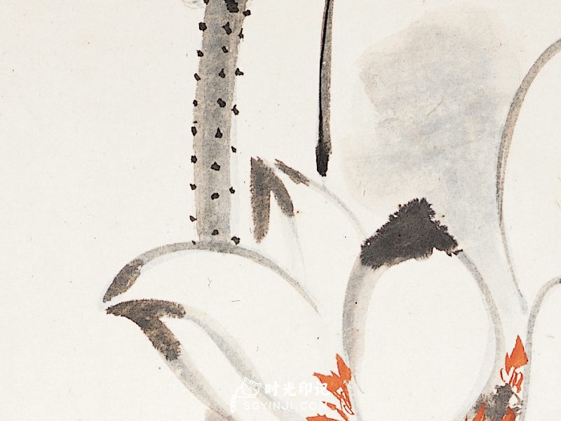 未标题-12.png