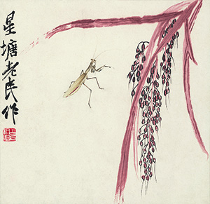 螳螂谷穗图 